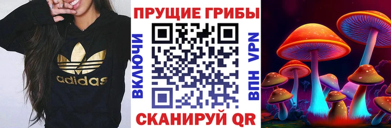 как найти   Советский  Галлюциногенные грибы ЛСД 