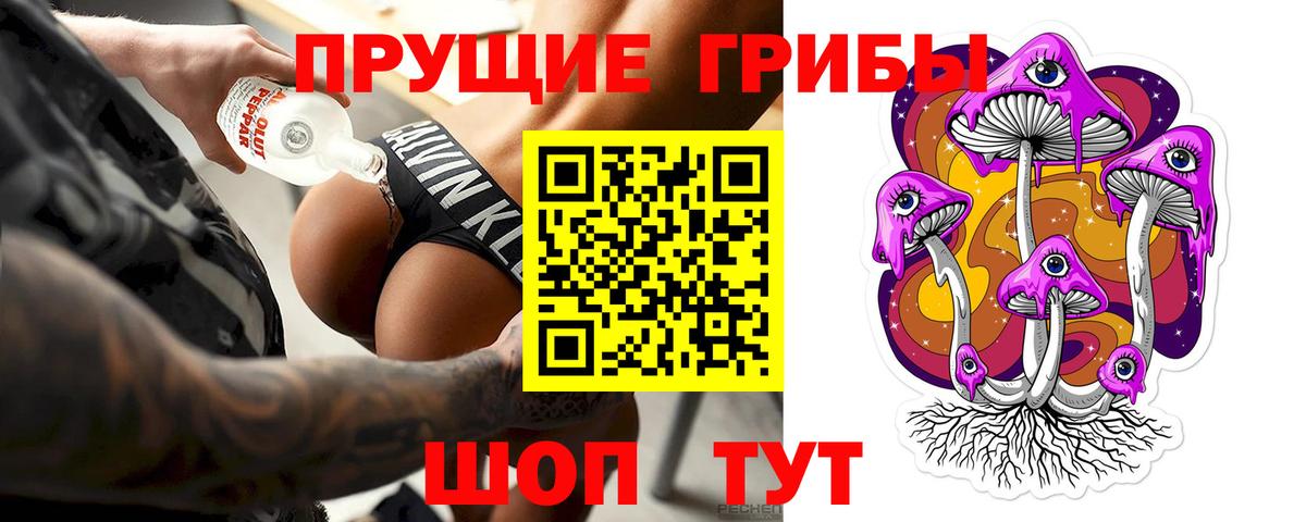 где можно купить наркотик  Галлюциногенные грибы GOLDEN TEACHER  Вход с VPN  Советский  Галлюциногенные грибы MAGIC MUSHROOMS 