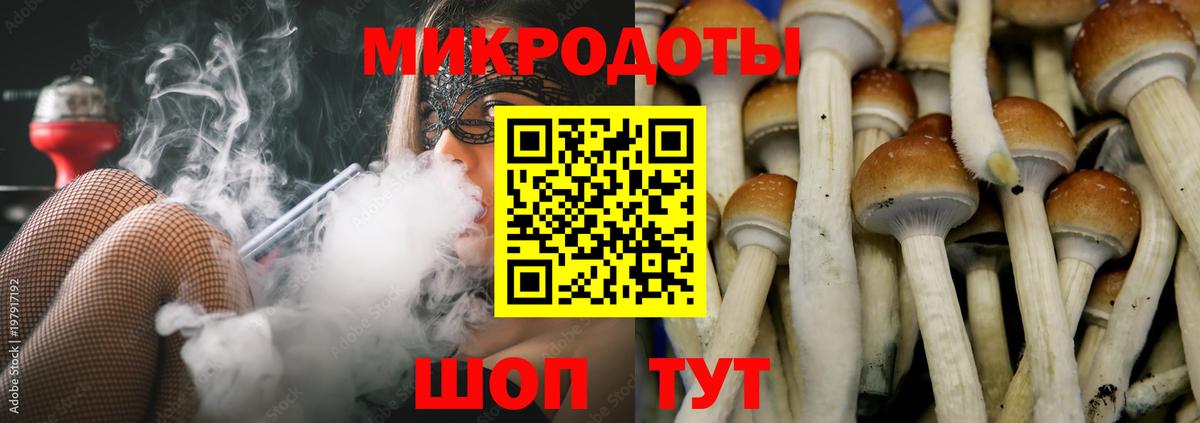 Псилоцибиновые грибы GOLDEN TEACHER Советский