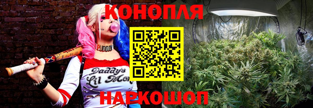 МАРИХУАНА ГИДРОПОН  Вход с VPN  Советский  Конопля марихуана 